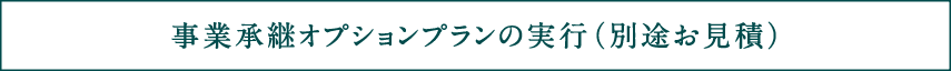 事業承継オプションプランの実行（別途お見積）