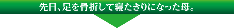 先日、足を骨折して寝たきりになった母。